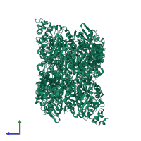 Ribulose bisphosphate carboxylase in PDB entry 5koz, assembly 1, side view.