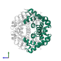 Hemoglobin subunit alpha in PDB entry 5ksi, assembly 1, side view.