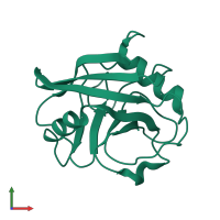 Peptidyl-prolyl cis-trans isomerase A in PDB entry 5kuz, assembly 1, front view.