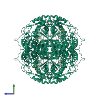 Homo tetrameric assembly 1 of PDB entry 5l2m coloured by chemically distinct molecules, side view.