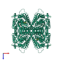 Homo tetrameric assembly 1 of PDB entry 5l2m coloured by chemically distinct molecules, top view.