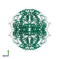 Aldehyde dehydrogenase 1A1 in PDB entry 5l2m, assembly 1, side view.