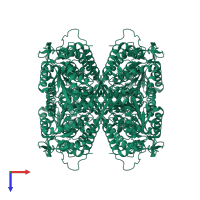 Aldehyde dehydrogenase 1A1 in PDB entry 5l2m, assembly 1, top view.
