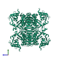 Glucose-1-phosphate adenylyltransferase in PDB entry 5l6s, assembly 2, side view.