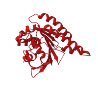 The deposited structure of PDB entry 5lb2 contains 1 copy of CATH domain 3.40.50.300 (Rossmann fold) in DNA repair and recombination protein RadA. Showing 1 copy in chain A.