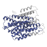 The deposited structure of PDB entry 5ldx contains 1 copy of Pfam domain PF00361 (Proton-conducting membrane transporter) in NADH-ubiquinone oxidoreductase chain 4. Showing 1 copy in chain M.