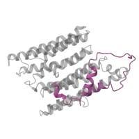 The deposited structure of PDB entry 5ldx contains 1 copy of Pfam domain PF06444 (NADH dehydrogenase subunit 2 C-terminus) in NADH-ubiquinone oxidoreductase chain 2. Showing 1 copy in chain N.