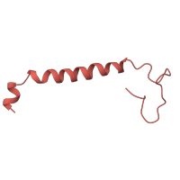 The deposited structure of PDB entry 5ldx contains 1 copy of Pfam domain PF08040 (MNLL subunit) in NADH dehydrogenase [ubiquinone] 1 beta subcomplex subunit 1. Showing 1 copy in chain FA [auth f].