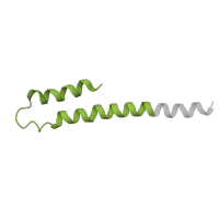 The deposited structure of PDB entry 5ldx contains 1 copy of Pfam domain PF05676 (NADH-ubiquinone oxidoreductase B18 subunit (NDUFB7)) in NADH dehydrogenase [ubiquinone] 1 beta subcomplex subunit 7. Showing 1 copy in chain OA [auth o].