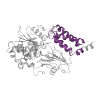 The deposited structure of PDB entry 5ldx contains 1 copy of Pfam domain PF10589 (NADH-ubiquinone oxidoreductase-F iron-sulfur binding region) in NADH dehydrogenase [ubiquinone] flavoprotein 1, mitochondrial. Showing 1 copy in chain F.