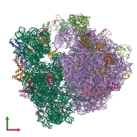 PDB entry 5li0 coloured by chain, front view.