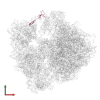 Large ribosomal subunit protein bL31B in PDB entry 5li0, assembly 1, front view.