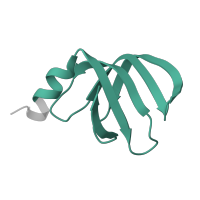 The deposited structure of PDB entry 5lj3 contains 2 copies of Pfam domain PF01423 (LSM domain ) in Small nuclear ribonucleoprotein F. Showing 1 copy in chain JA [auth q].