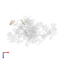 Pre-mRNA-splicing factor CWC21 in PDB entry 5lj3, assembly 1, top view.