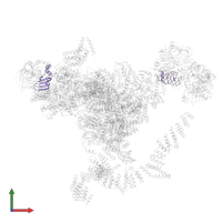 Small nuclear ribonucleoprotein Sm D1 in PDB entry 5lj3, assembly 1, front view.