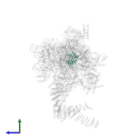 U2 small nuclear ribonucleoprotein A' in PDB entry 5lj3, assembly 1, side view.