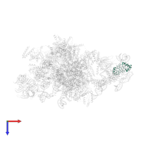 U2 small nuclear ribonucleoprotein A' in PDB entry 5lj3, assembly 1, top view.