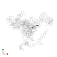 Pre-mRNA-splicing factor CWC25 in PDB entry 5lj3, assembly 1, front view.