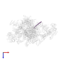 Pre-mRNA-splicing factor CWC25 in PDB entry 5lj3, assembly 1, top view.