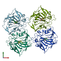 PDB entry 5llp coloured by chain, front view.