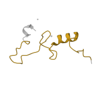 The deposited structure of PDB entry 5lmn contains 1 copy of Pfam domain PF00253 (Ribosomal protein S14p/S29e) in Small ribosomal subunit protein uS14. Showing 1 copy in chain N.