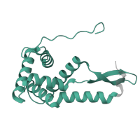 The deposited structure of PDB entry 5lmn contains 1 copy of Pfam domain PF00177 (Ribosomal protein S7p/S5e) in Small ribosomal subunit protein uS7. Showing 1 copy in chain G.