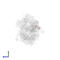 Cytochrome c oxidase subunit 5B, mitochondrial in PDB entry 5luf, assembly 1, side view.