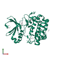 3-phosphoinositide-dependent protein kinase 1 in PDB entry 5lvl, assembly 1, front view.