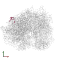 Large ribosomal subunit protein uL24 in PDB entry 5lzx, assembly 1, front view.