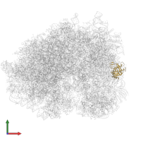 uS2 in PDB entry 5lzx, assembly 1, front view.