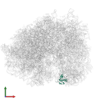 Small ribosomal subunit protein uS19 in PDB entry 5lzx, assembly 1, front view.