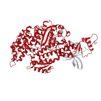 The deposited structure of PDB entry 5m05 contains 1 copy of Pfam domain PF00063 (Myosin head (motor domain)) in Myosin-11. Showing 1 copy in chain A.