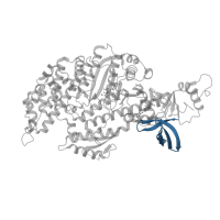 The deposited structure of PDB entry 5m05 contains 1 copy of Pfam domain PF02736 (Myosin N-terminal SH3-like domain) in Myosin-11. Showing 1 copy in chain A.