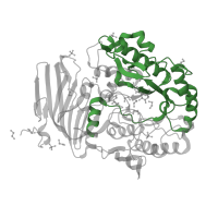 The deposited structure of PDB entry 5m1i contains 1 copy of Pfam domain PF02065 (Melibiase) in Alpha-galactosidase. Showing 1 copy in chain A.