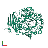 Alpha-galactosidase in PDB entry 5m1i, assembly 1, front view.