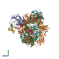 Hetero heptameric assembly 1 of PDB entry 5m1s coloured by chemically distinct molecules, side view.