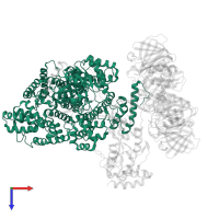 DNA polymerase III subunit alpha in PDB entry 5m1s, assembly 1, top view.