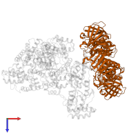 Beta sliding clamp in PDB entry 5m1s, assembly 1, top view.