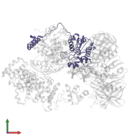 DNA polymerase III subunit epsilon in PDB entry 5m1s, assembly 1, front view.