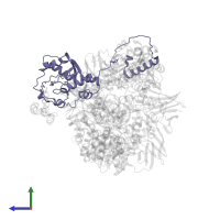 DNA polymerase III subunit epsilon in PDB entry 5m1s, assembly 1, side view.