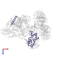 DNA polymerase III subunit epsilon in PDB entry 5m1s, assembly 1, top view.