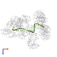 DNA Template Strand in PDB entry 5m1s, assembly 1, top view.