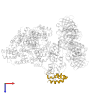 DNA polymerase III subunit theta in PDB entry 5m1s, assembly 1, top view.