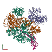 Hetero pentameric assembly 1 of PDB entry 5mbv coloured by chemically distinct molecules, front view.