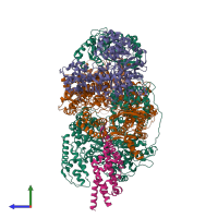 Hetero pentameric assembly 1 of PDB entry 5mbv coloured by chemically distinct molecules, side view.