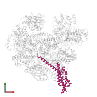 Host-nuclease inhibitor protein gam in PDB entry 5mbv, assembly 1, front view.
