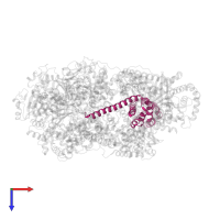 Host-nuclease inhibitor protein gam in PDB entry 5mbv, assembly 1, top view.