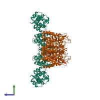 Hetero 14-meric assembly 1 of PDB entry 5mdb coloured by chemically distinct molecules, side view.