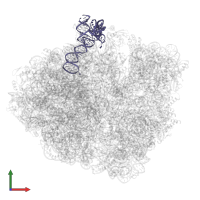 5S ribosomal RNA in PDB entry 5mdw, assembly 1, front view.