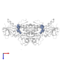 NICOTINAMIDE-ADENINE-DINUCLEOTIDE in PDB entry 5mh6, assembly 2, top view.